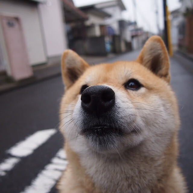 热气球飞行竞技，空中极限的梦幻体验，热气球飞行视频大全
