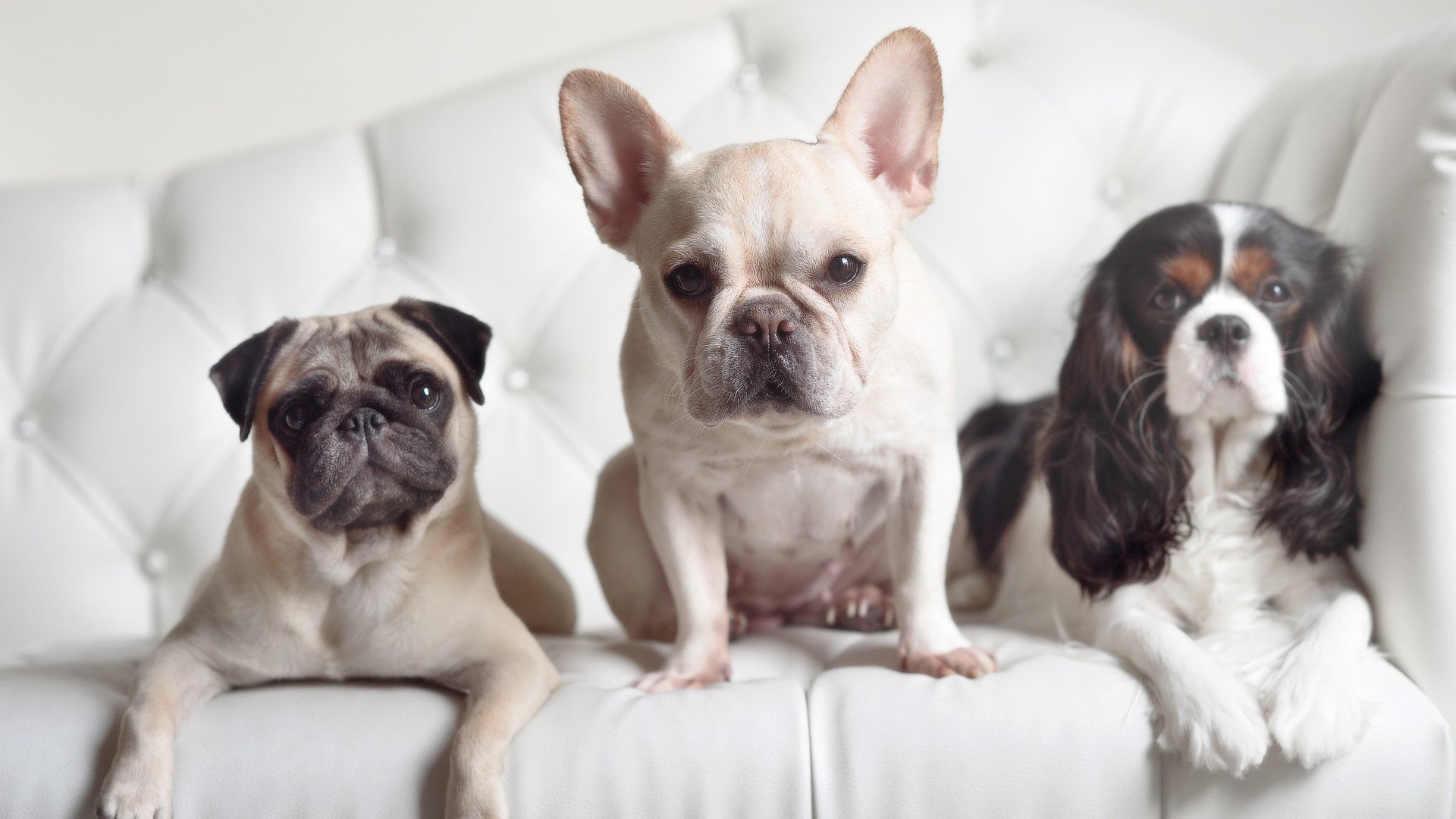 中国足球推动体育高校深度合作，国家关于足球特色学校跟足球青训机构合作的文件