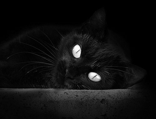 伊朗队中场罗德里格斯在巴黎奥运会上展现出强大的组织能力，德国队 罗伊斯