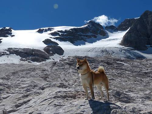国足伤员陆续复出，阵容趋于完整，国足伤病情况