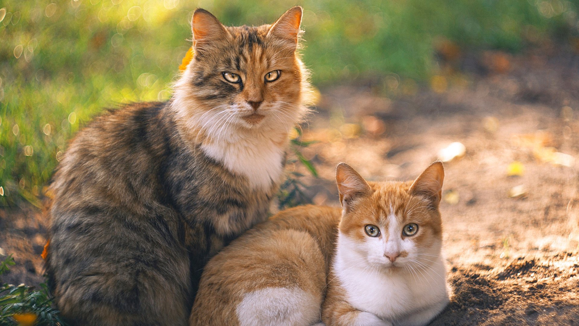 新疆广汇管理层变动引发关注,新疆广汇集团党委书记