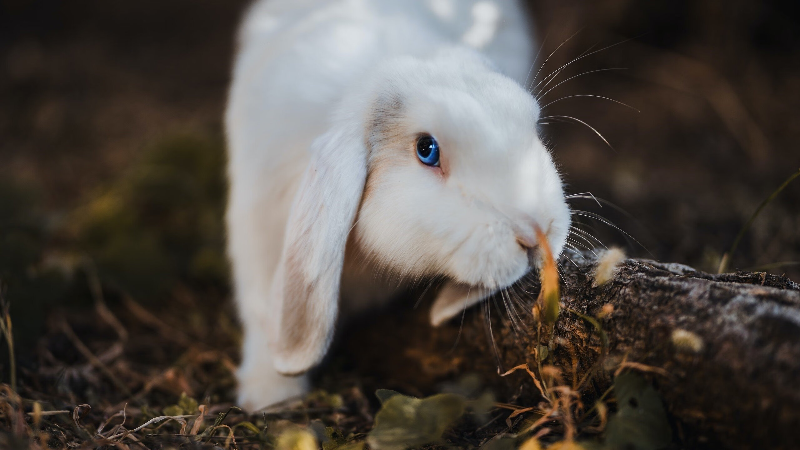 全国青少年骑行趣味赛在成都火爆开启，成都青少年自行车比赛