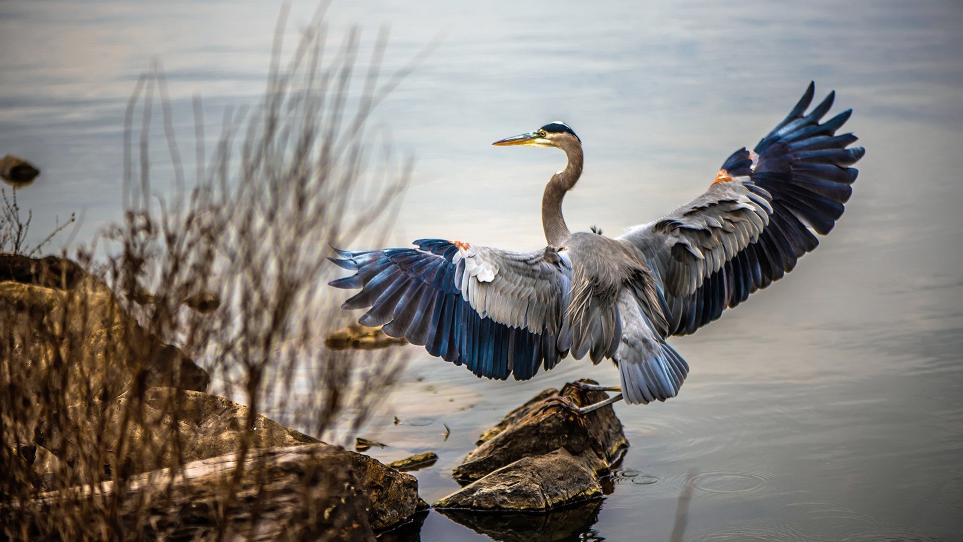 “沙滩手球激战正酣,2025世界运动会天府新区热闹非凡”