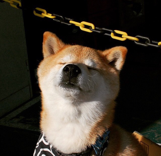 五大联赛特定位置球员市场价值变化趋势，在五大联赛都效力过的球员