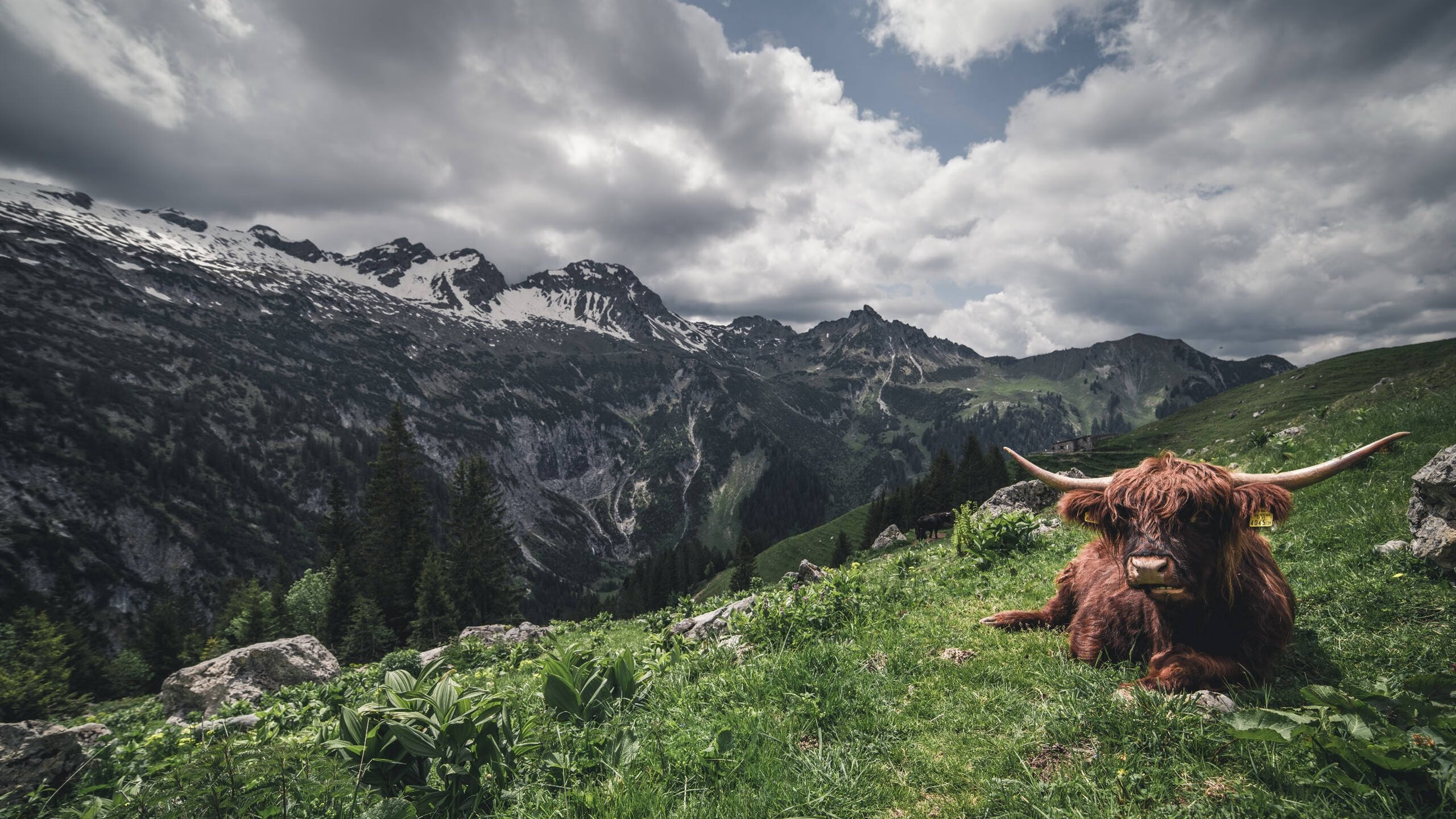 后腰球员断球能力是否决定比赛转折点分布,后腰接球摆脱集锦